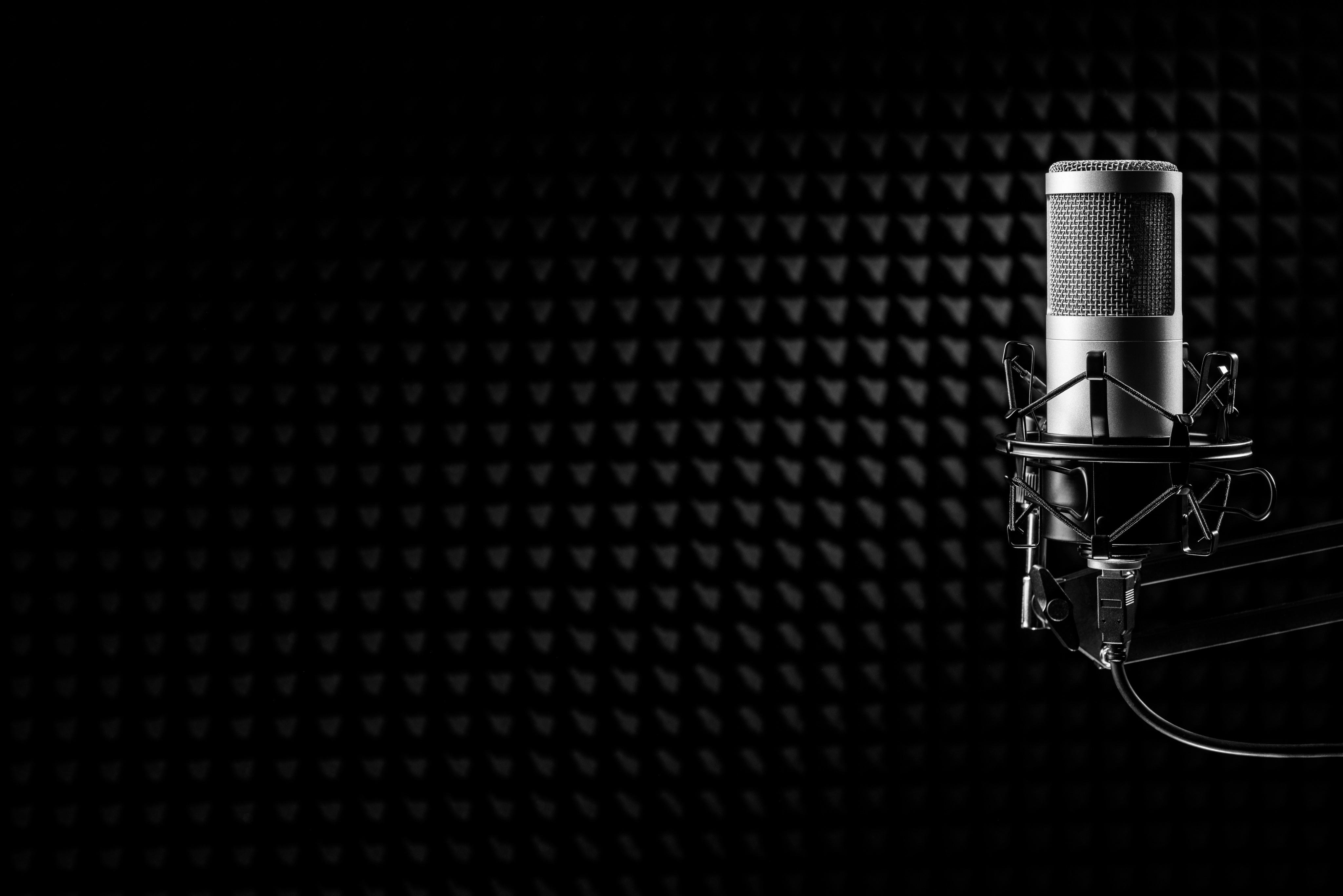 microphone